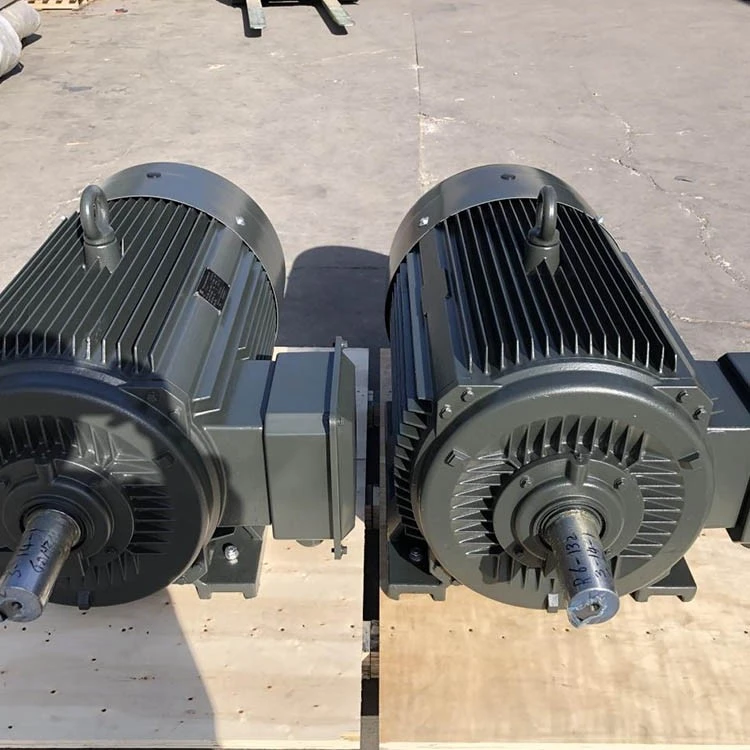 Ac Squirrel Cage Induction Motor suppliers