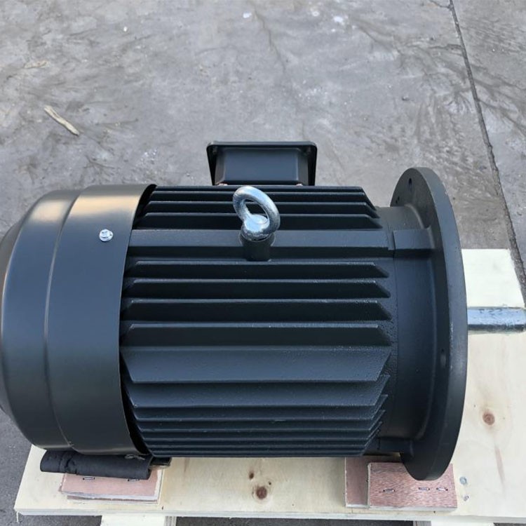 3 Phase 4 Pole Squirrel Cage Induction Motor 1 3 Phase 4 Pole Squirrel Cage Induction Motor 1